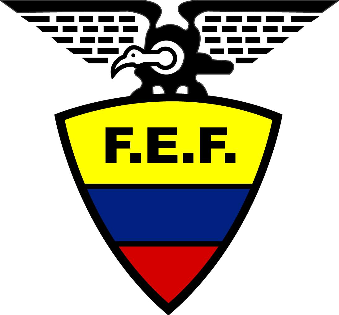 Ecuador 1976-Pres Primary Logo t shirt iron on transfers...